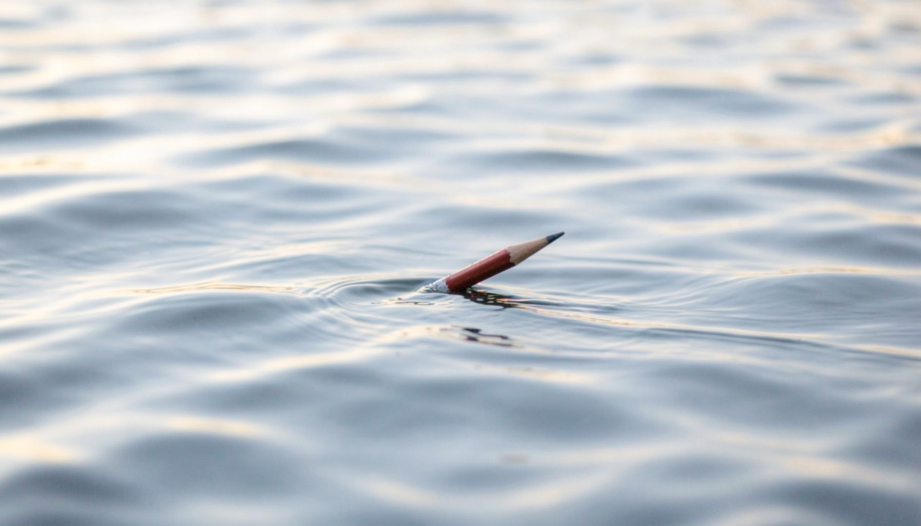 Leurre pencil flottant sur une eau légèrement ridée, tons argent et blanc, lumière de fin de journée